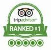 trip advisor review 4wd india